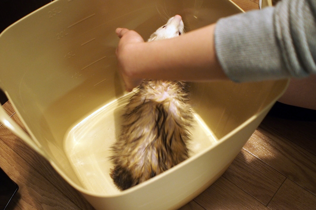 f:id:rokuzeudon:20160121114817j:plain