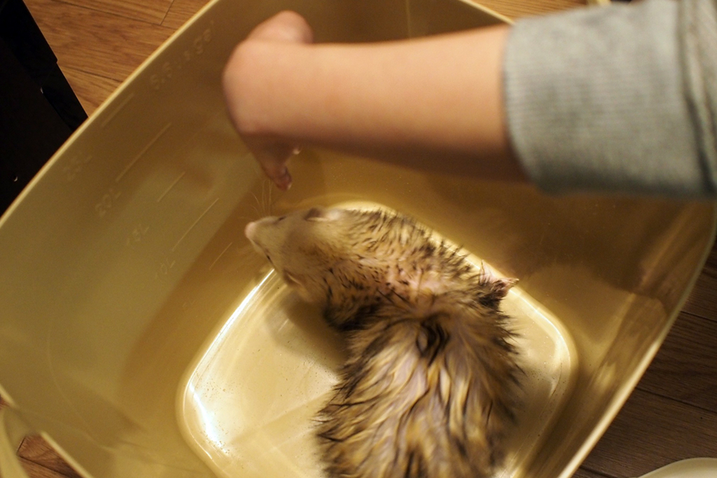 f:id:rokuzeudon:20160121114844j:plain