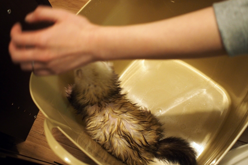 f:id:rokuzeudon:20160121114847j:plain