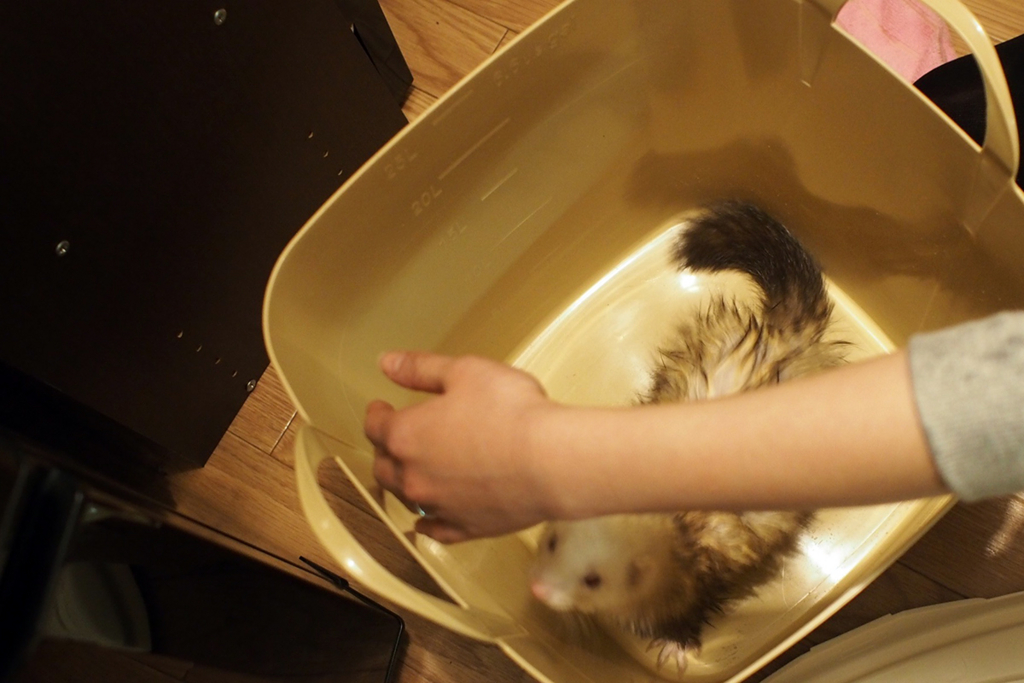 f:id:rokuzeudon:20160121114850j:plain