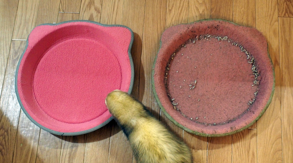 f:id:rokuzeudon:20160121115042j:plain