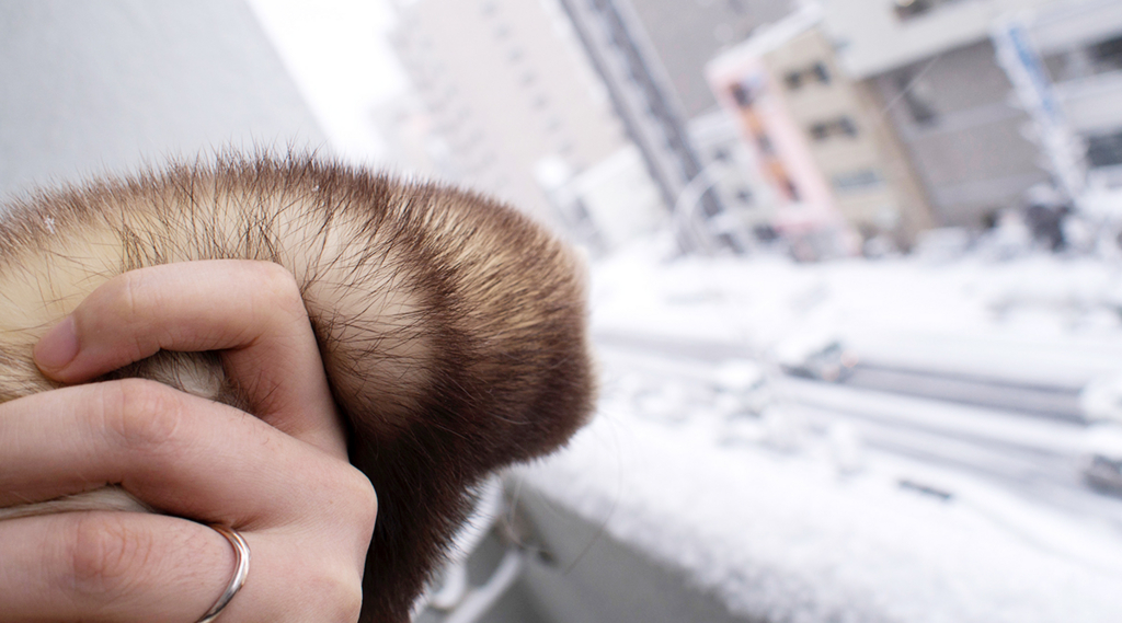 f:id:rokuzeudon:20160122201111j:plain