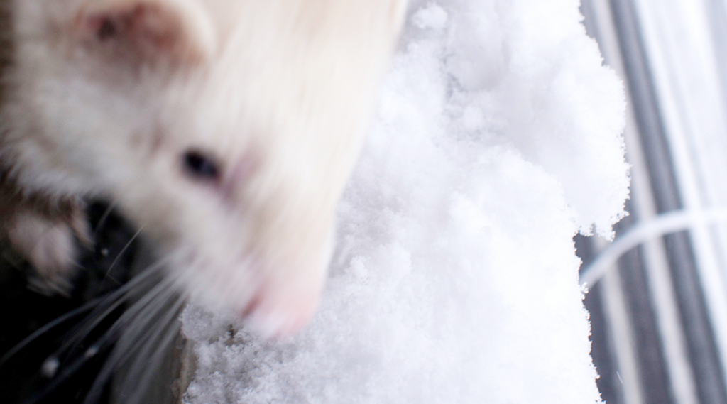 f:id:rokuzeudon:20160122201119j:plain