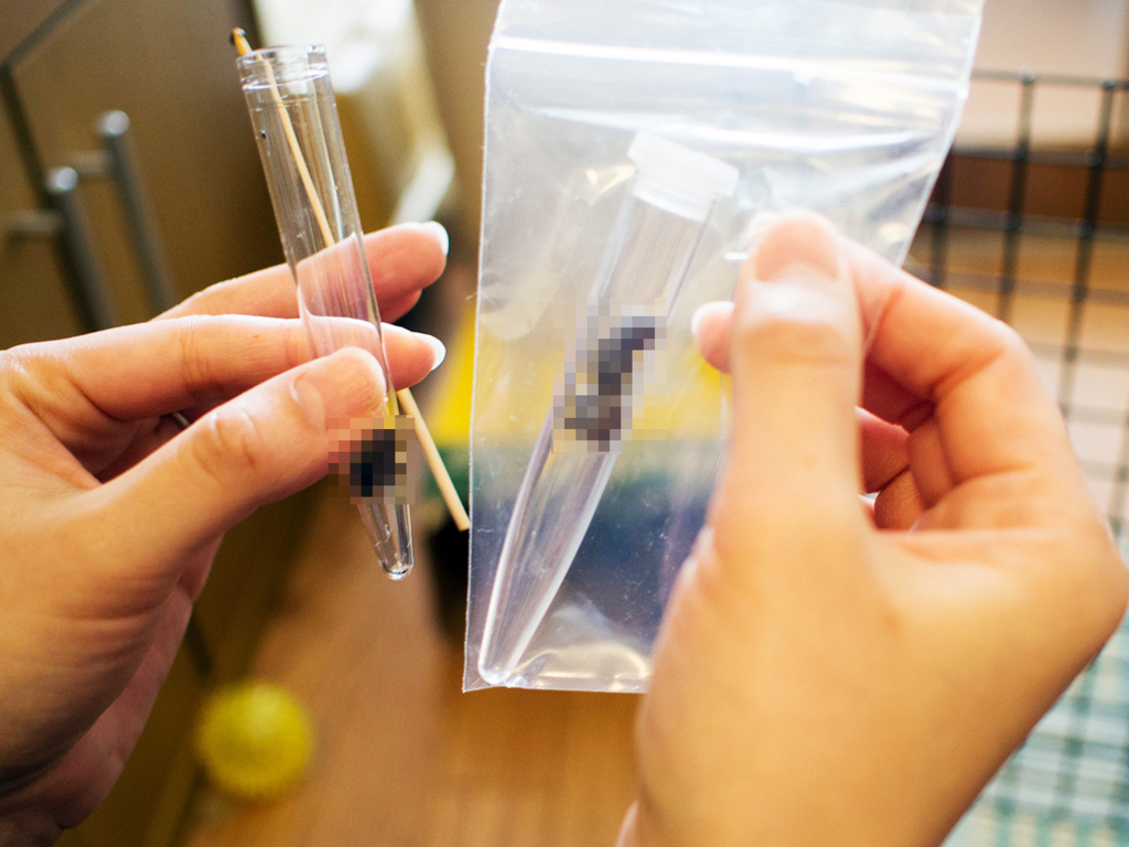 f:id:rokuzeudon:20160124185359j:plain