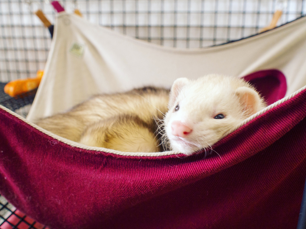 f:id:rokuzeudon:20160124185406j:plain