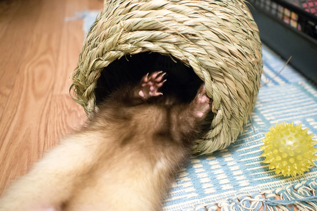 f:id:rokuzeudon:20160208180636j:plain