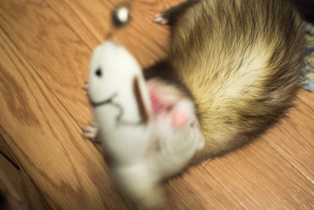 f:id:rokuzeudon:20160208193436j:plain