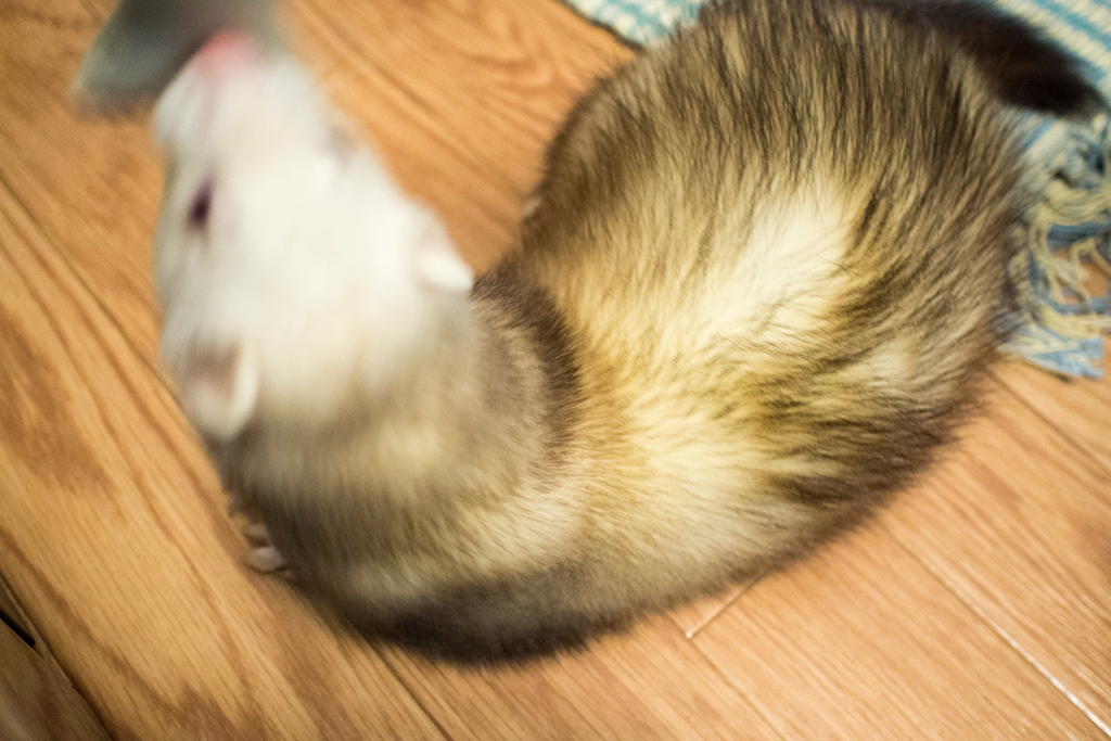 f:id:rokuzeudon:20160208193442j:plain