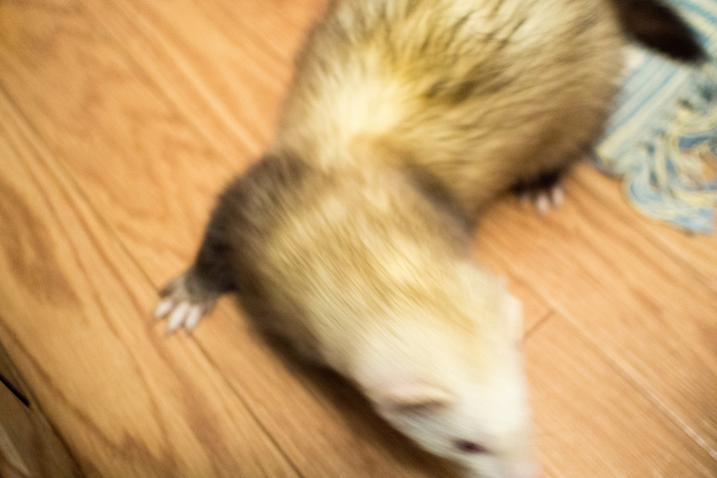 f:id:rokuzeudon:20160208193451j:plain