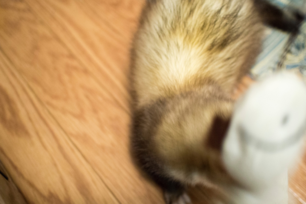 f:id:rokuzeudon:20160208193456j:plain