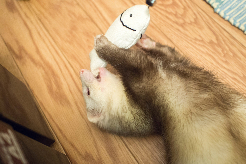 f:id:rokuzeudon:20160208193513j:plain