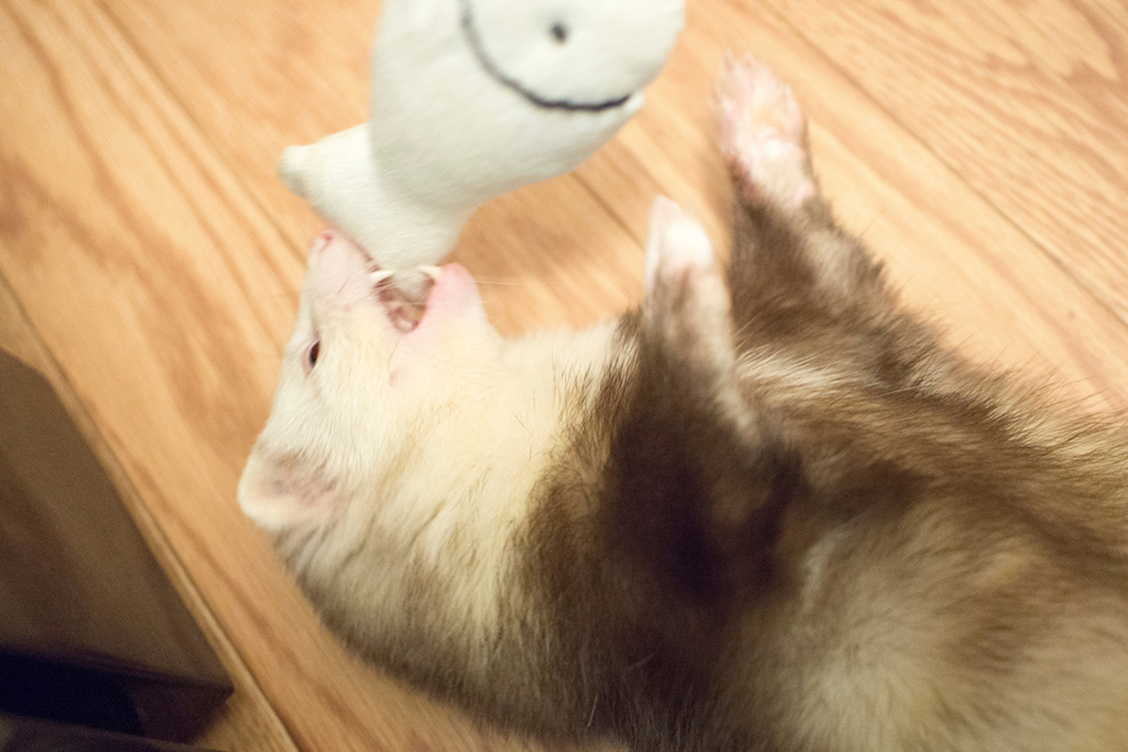 f:id:rokuzeudon:20160208193521j:plain