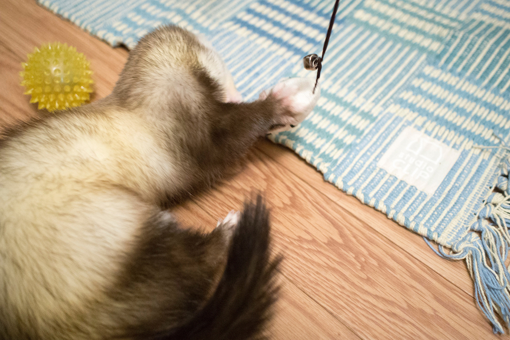 f:id:rokuzeudon:20160208193541j:plain