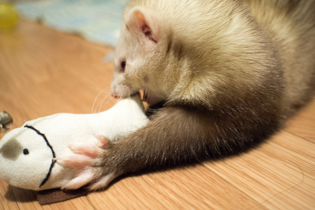 f:id:rokuzeudon:20160208193643j:plain