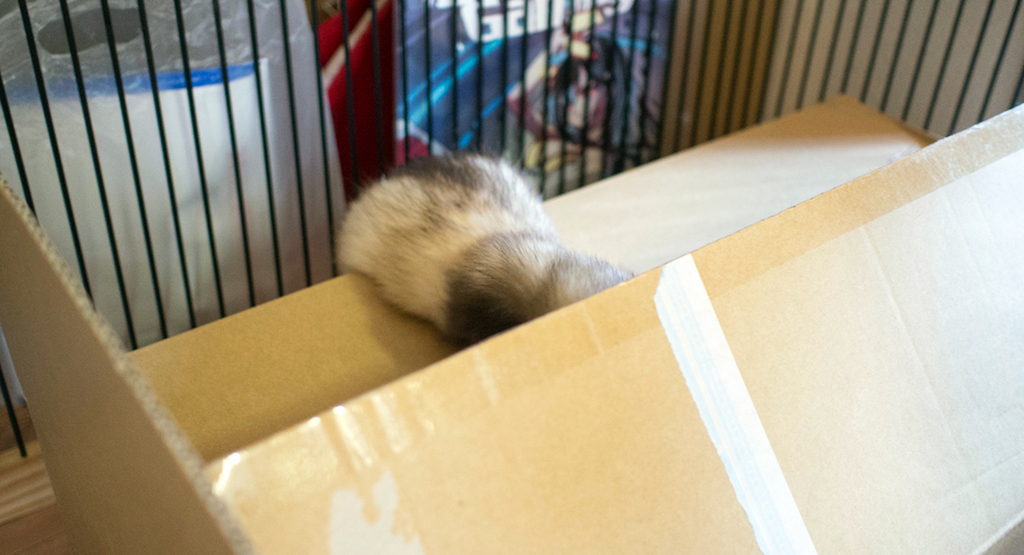 f:id:rokuzeudon:20160304194147j:plain