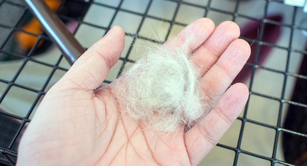 f:id:rokuzeudon:20160304194243j:plain