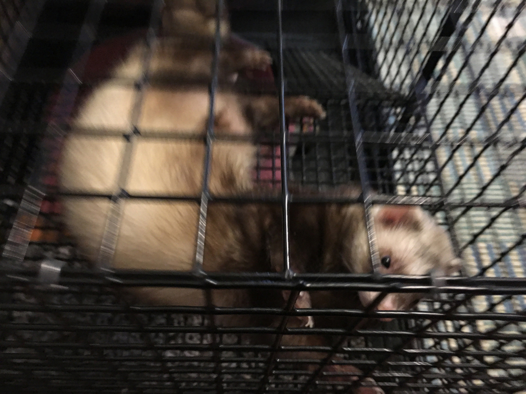 f:id:rokuzeudon:20160309165926j:plain