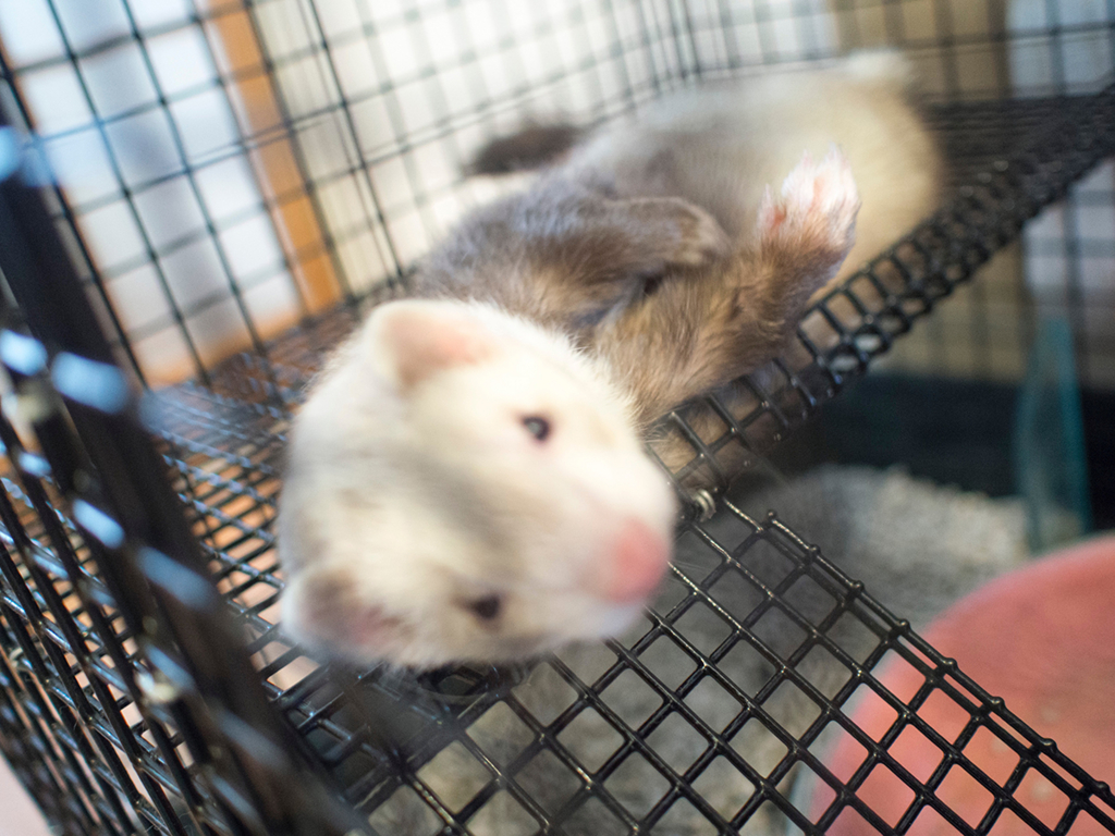 f:id:rokuzeudon:20160316174312j:plain