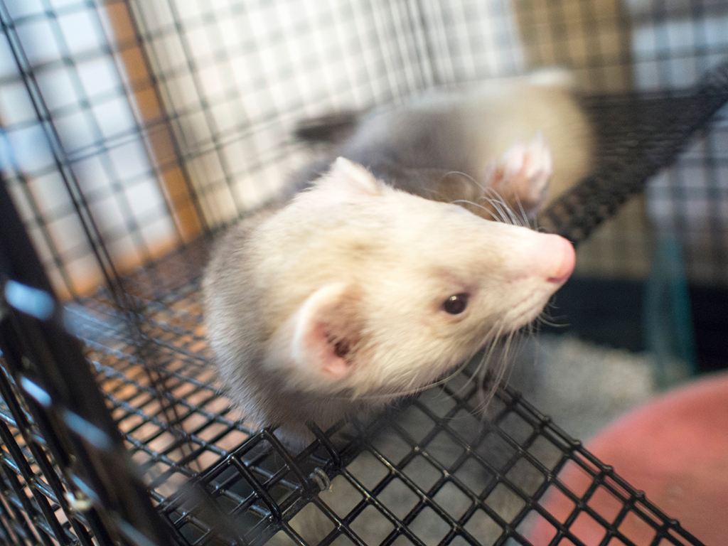 f:id:rokuzeudon:20160316174317j:plain