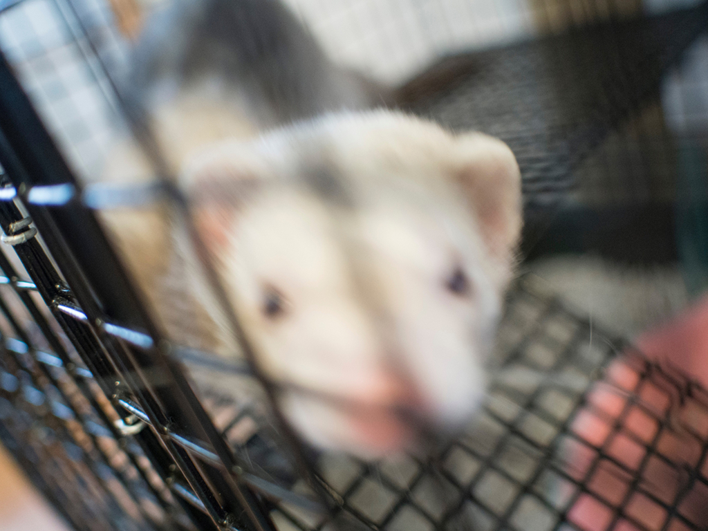 f:id:rokuzeudon:20160316174333j:plain