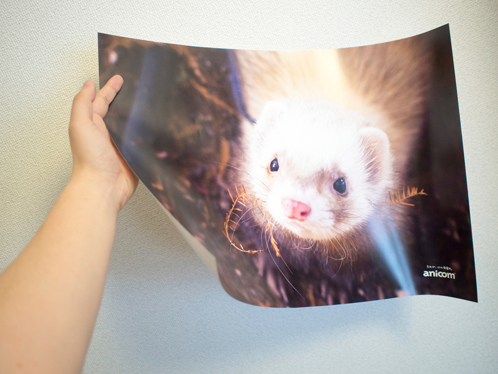 f:id:rokuzeudon:20160403234034j:plain