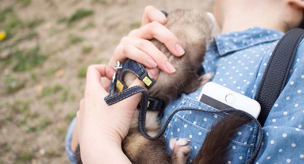 f:id:rokuzeudon:20160424163736j:plain