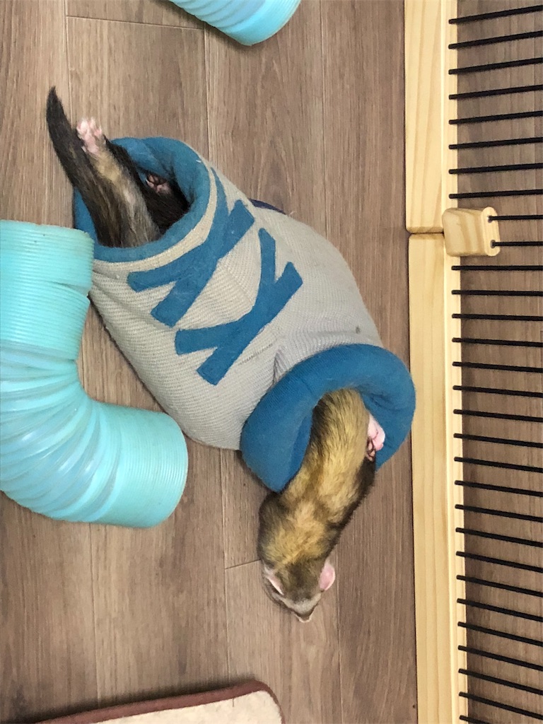 f:id:rokuzeudon:20180329030151j:image