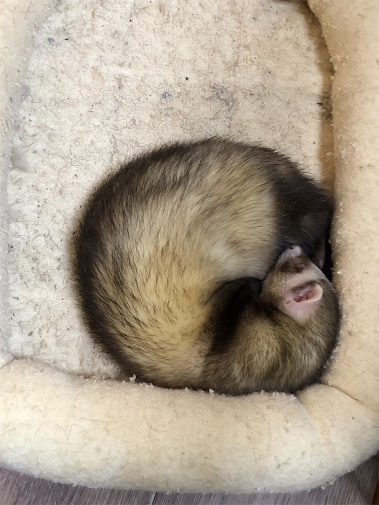 f:id:rokuzeudon:20180329030732j:image