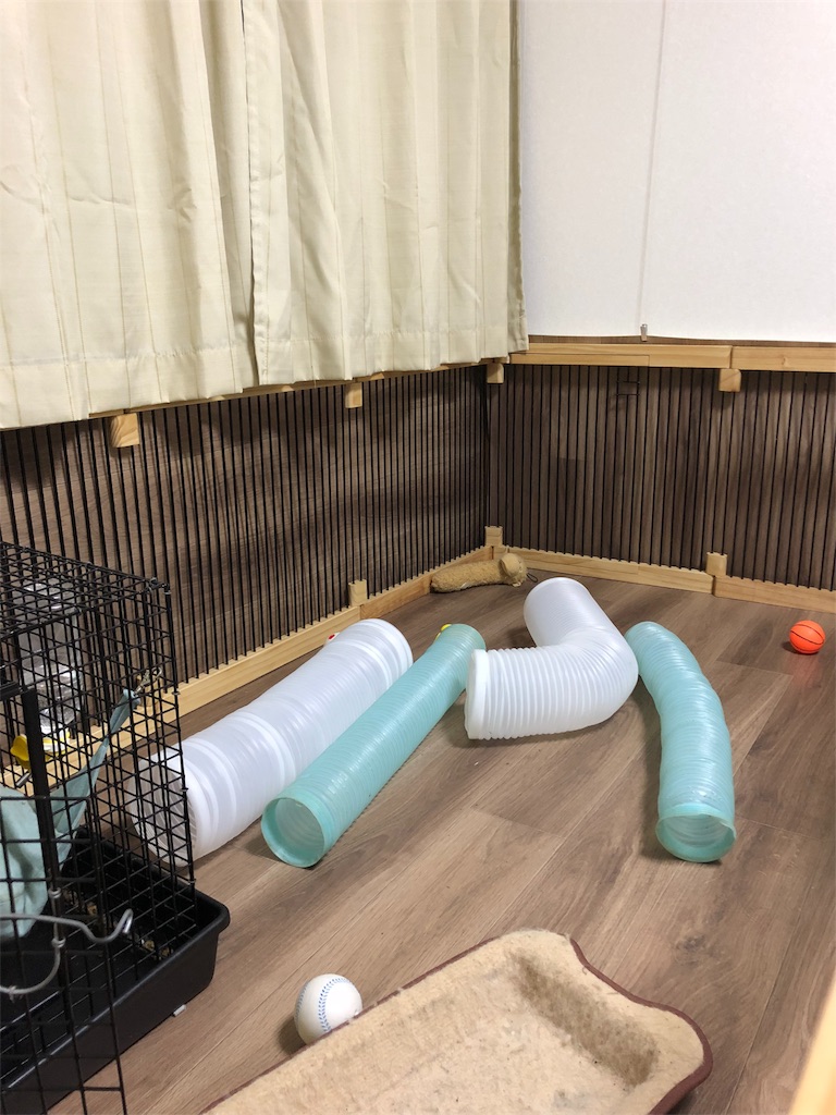 f:id:rokuzeudon:20180513163217j:image