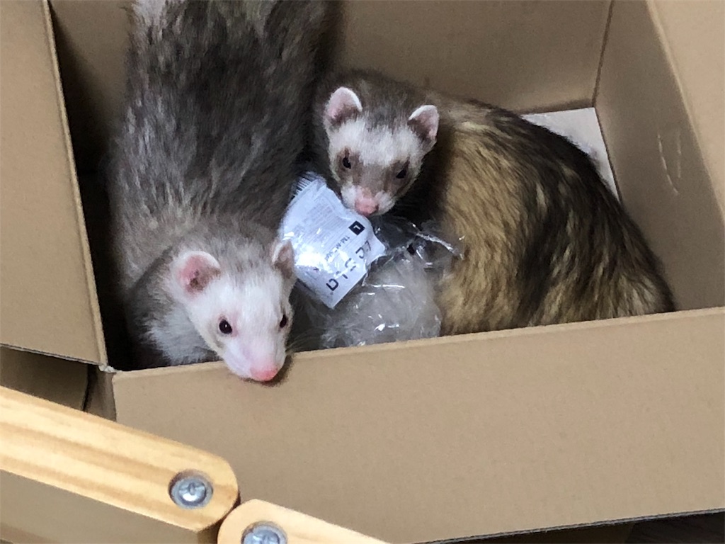 f:id:rokuzeudon:20180521193627j:image