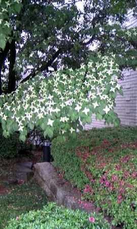 f:id:romasen:20080511204147j:image f:id:romasen:20080511204147j:image