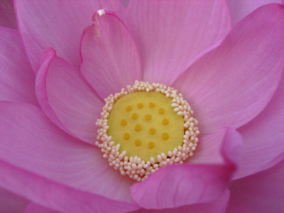 f:id:romasen:20090705061520j:image f:id:romasen:20090705061520j:image