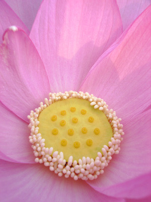 f:id:romasen:20090705061625j:image f:id:romasen:20090705061625j:image