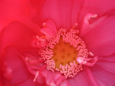 f:id:romasen:20090705061923j:image f:id:romasen:20090705061923j:image