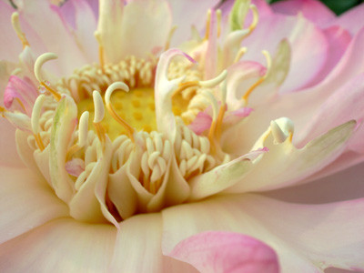 f:id:romasen:20090705062525j:image f:id:romasen:20090705062525j:image