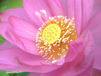 f:id:romasen:20090705063440j:image f:id:romasen:20090705063440j:image