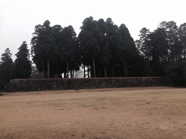 f:id:rondo_carrousel136:20140320194350j:plain f:id:rondo_carrousel136:20140320194350j:plain