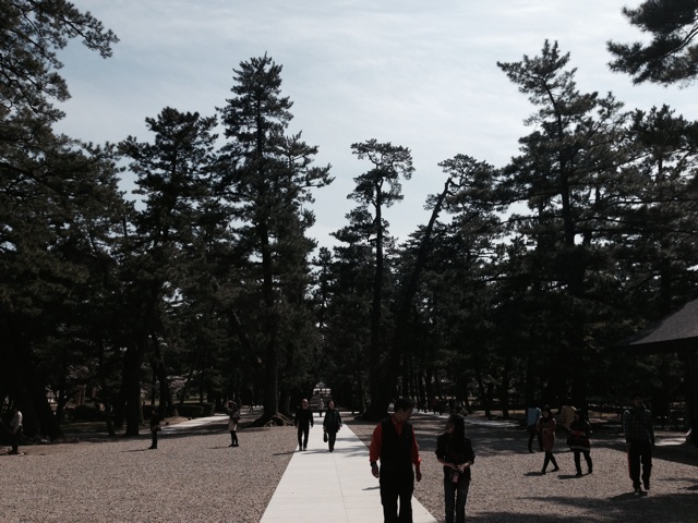 f:id:rondo_carrousel136:20140401201947j:plain f:id:rondo_carrousel136:20140401201947j:plain