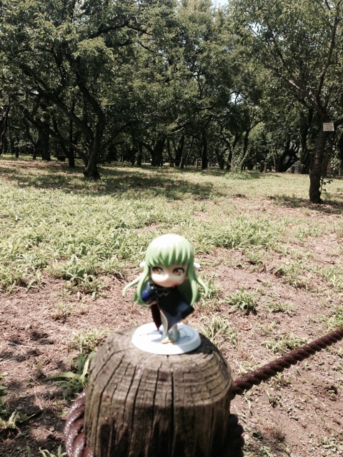 f:id:rondo_carrousel136:20140619214607j:plain f:id:rondo_carrousel136:20140619214607j:plain