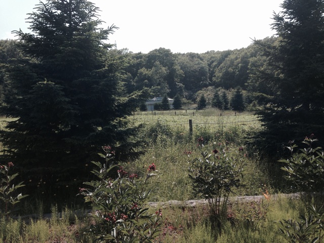 f:id:rondo_carrousel136:20140705204908j:plain f:id:rondo_carrousel136:20140705204908j:plain