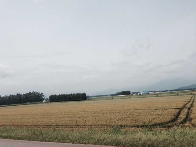 f:id:rondo_carrousel136:20140707202214j:plain f:id:rondo_carrousel136:20140707202214j:plain