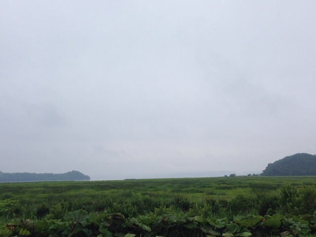 f:id:rondo_carrousel136:20140714190145j:plain f:id:rondo_carrousel136:20140714190145j:plain