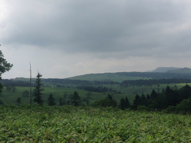 f:id:rondo_carrousel136:20140717184928j:plain f:id:rondo_carrousel136:20140717184928j:plain