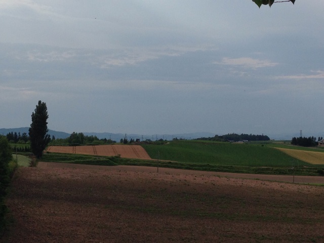 f:id:rondo_carrousel136:20140723123631j:plain f:id:rondo_carrousel136:20140723123631j:plain