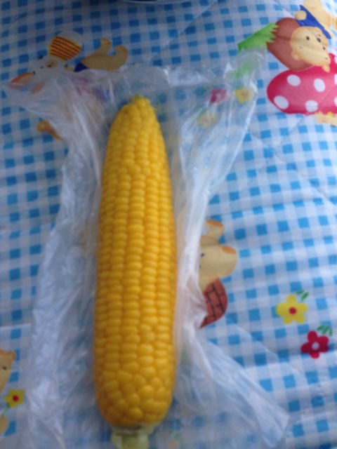 f:id:rondo_carrousel136:20140725063535j:plain f:id:rondo_carrousel136:20140725063535j:plain