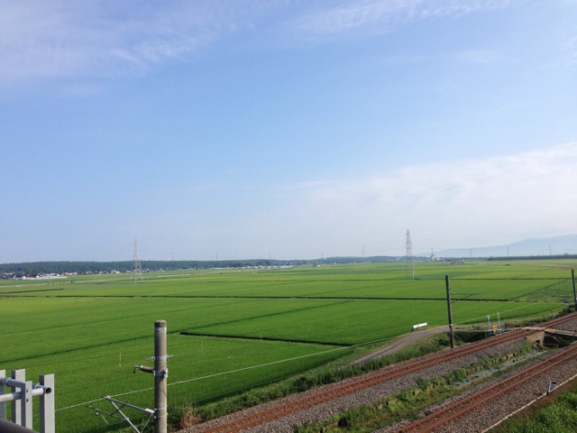 f:id:rondo_carrousel136:20140802183926j:plain f:id:rondo_carrousel136:20140802183926j:plain