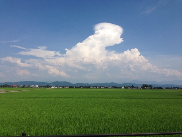 f:id:rondo_carrousel136:20140803233617j:plain f:id:rondo_carrousel136:20140803233617j:plain