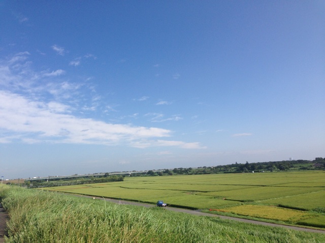 f:id:rondo_carrousel136:20140811224038j:plain f:id:rondo_carrousel136:20140811224038j:plain