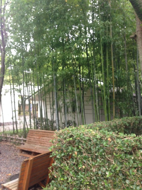 f:id:rondo_carrousel136:20140817194853j:plain f:id:rondo_carrousel136:20140817194853j:plain