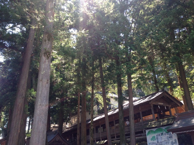 f:id:rondo_carrousel136:20140822192300j:plain f:id:rondo_carrousel136:20140822192300j:plain